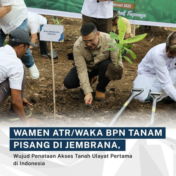 Wakil Menteri ATR/BPN Ossy Dermawan melakukan penanaman pisang cavendish di lokasi tanah ulayat